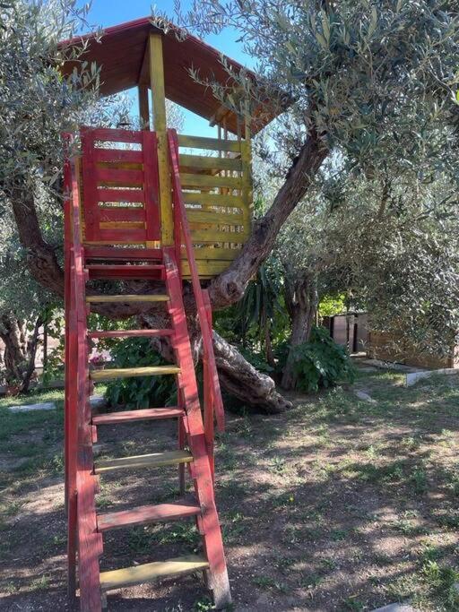 La Dimora Delle Rose Passignano sul Trasimeno Exterior foto